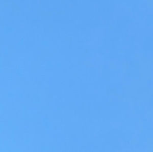 Meet your Posher, Georgia